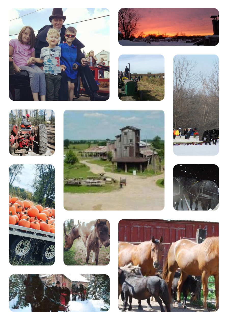 Activities and Events