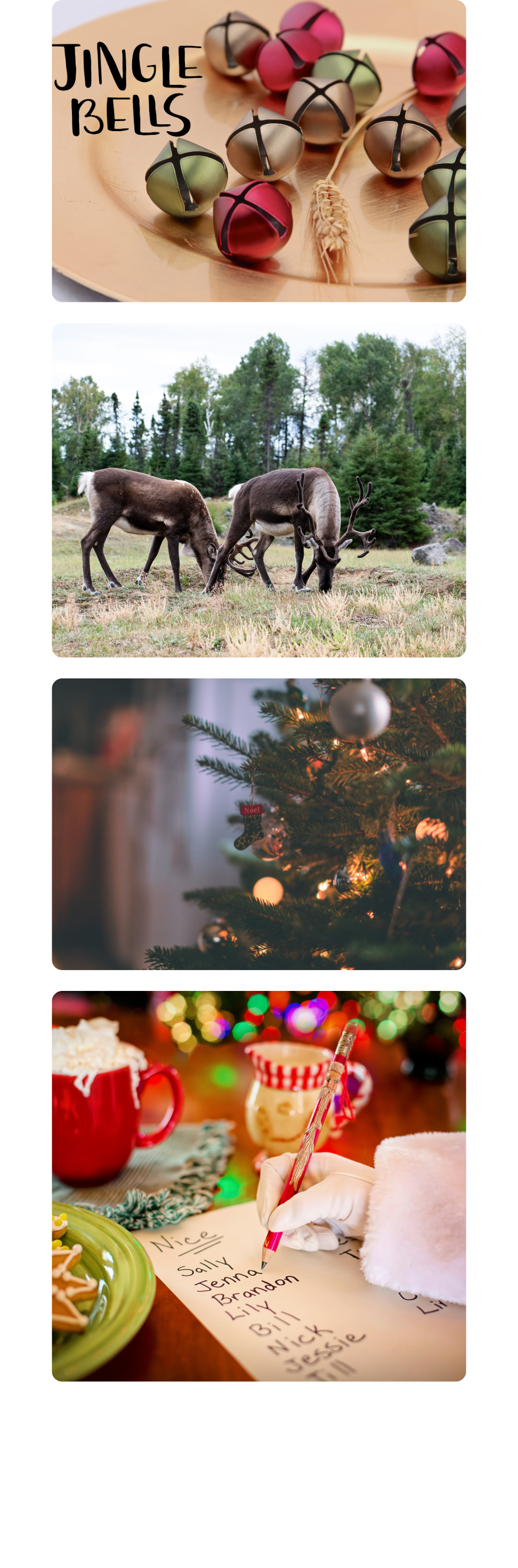 A collection of photographs capturing the holiday spirit of cookies with Santa at Cavanaugh Carriages in Neenah, WI.