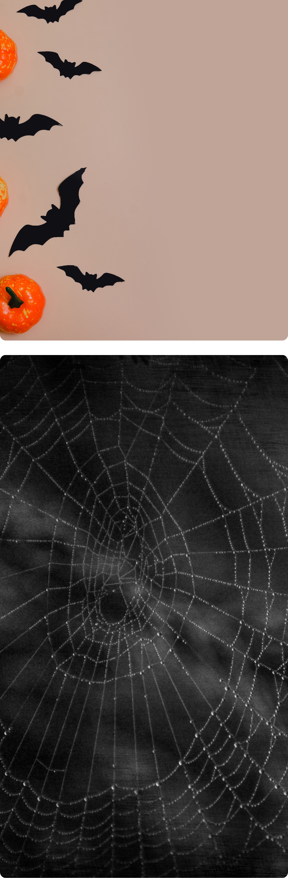 A collection of photographs capturing the thrill and frights of haunted hay rides by Cavanaugh Carriages in Neenah, WI.