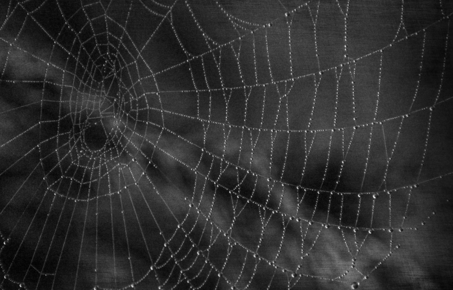 A spider web set against a cloudy, smoky background, creating an eerie and mysterious Halloween atmosphere.