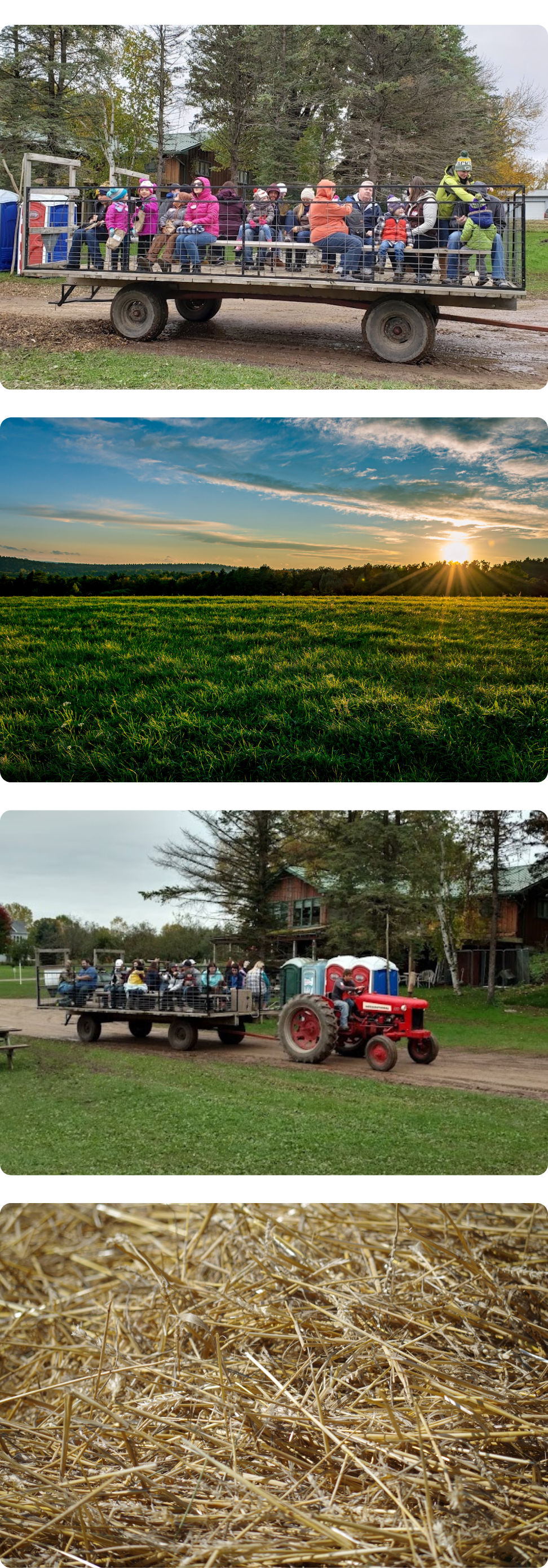 A collection of photographs capturing the charm and joy of traditional hay rides by Cavanaugh Carriages in Neenah, WI.