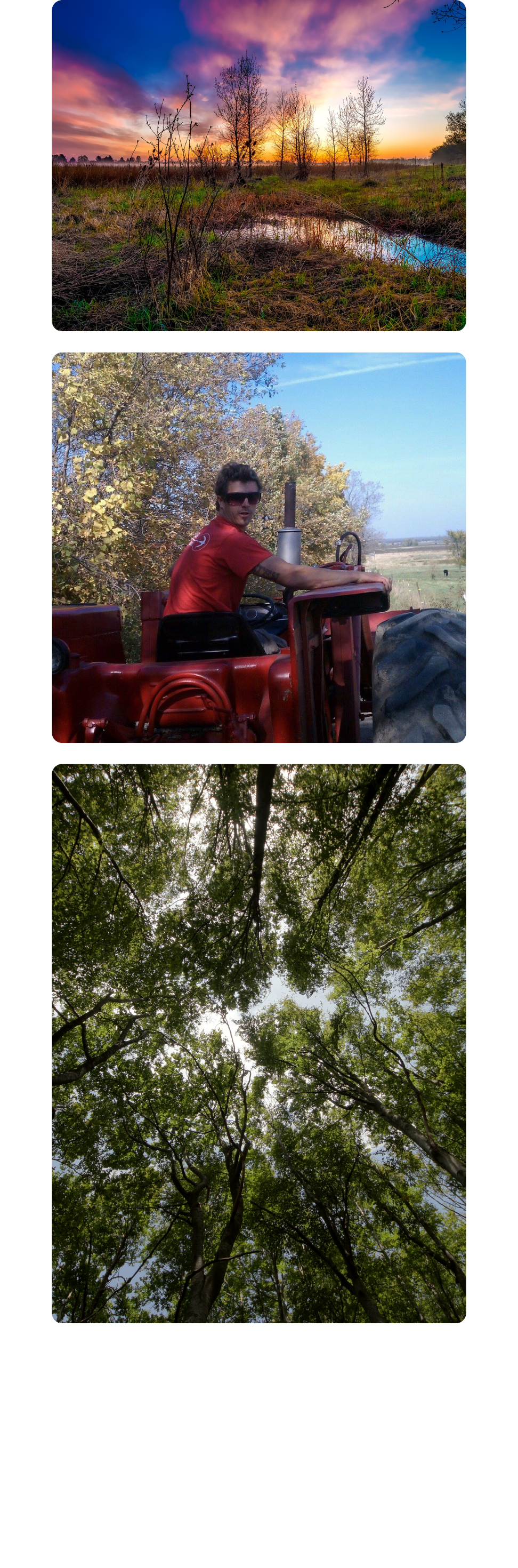 A collection of photographs capturing the charm and joy of traditional hay rides by Cavanaugh Carriages in Neenah, WI.