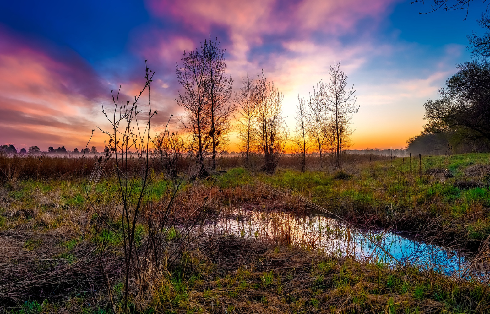 A tranquil sunset over grassy fields with a small pond, hinting at the peaceful and rustic charm of the more secluded areas behind Cavanaugh Carriages in Neenah, WI.