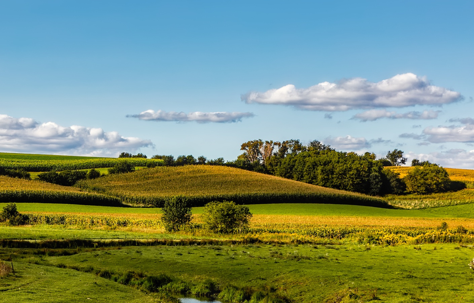 A picturesque countryside scene with grassy landscapes and a gentle creek, evoking the tranquil rural atmosphere surrounding Cavanaugh Carriages in Neenah, WI.