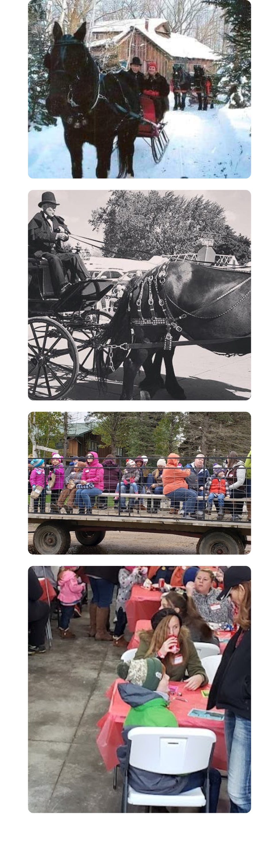 Collection of images showcasing various events and services offered by Cavanaugh Carriages