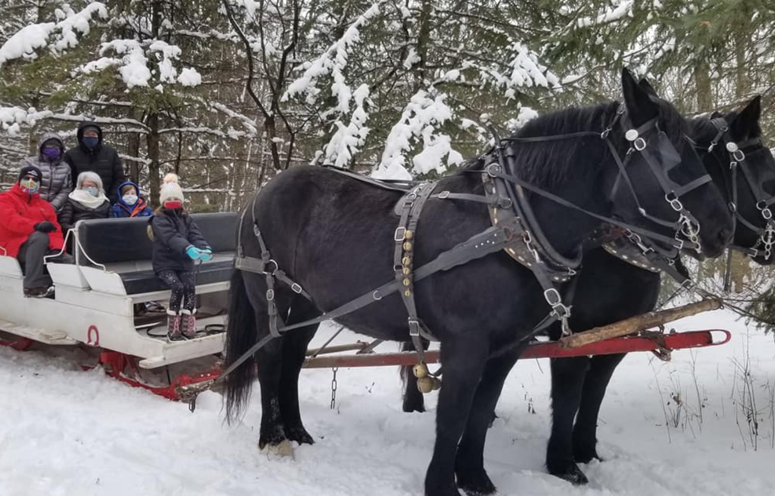 Family going for a sleigh ride in the woods by Cavanaugh Carriages