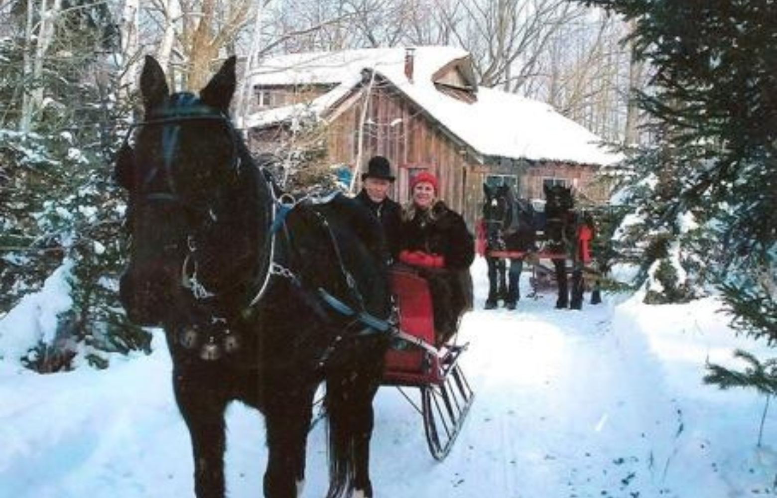 Mr. and Mrs. Cavanaugh enjoying a cozy sleigh ride in the snow