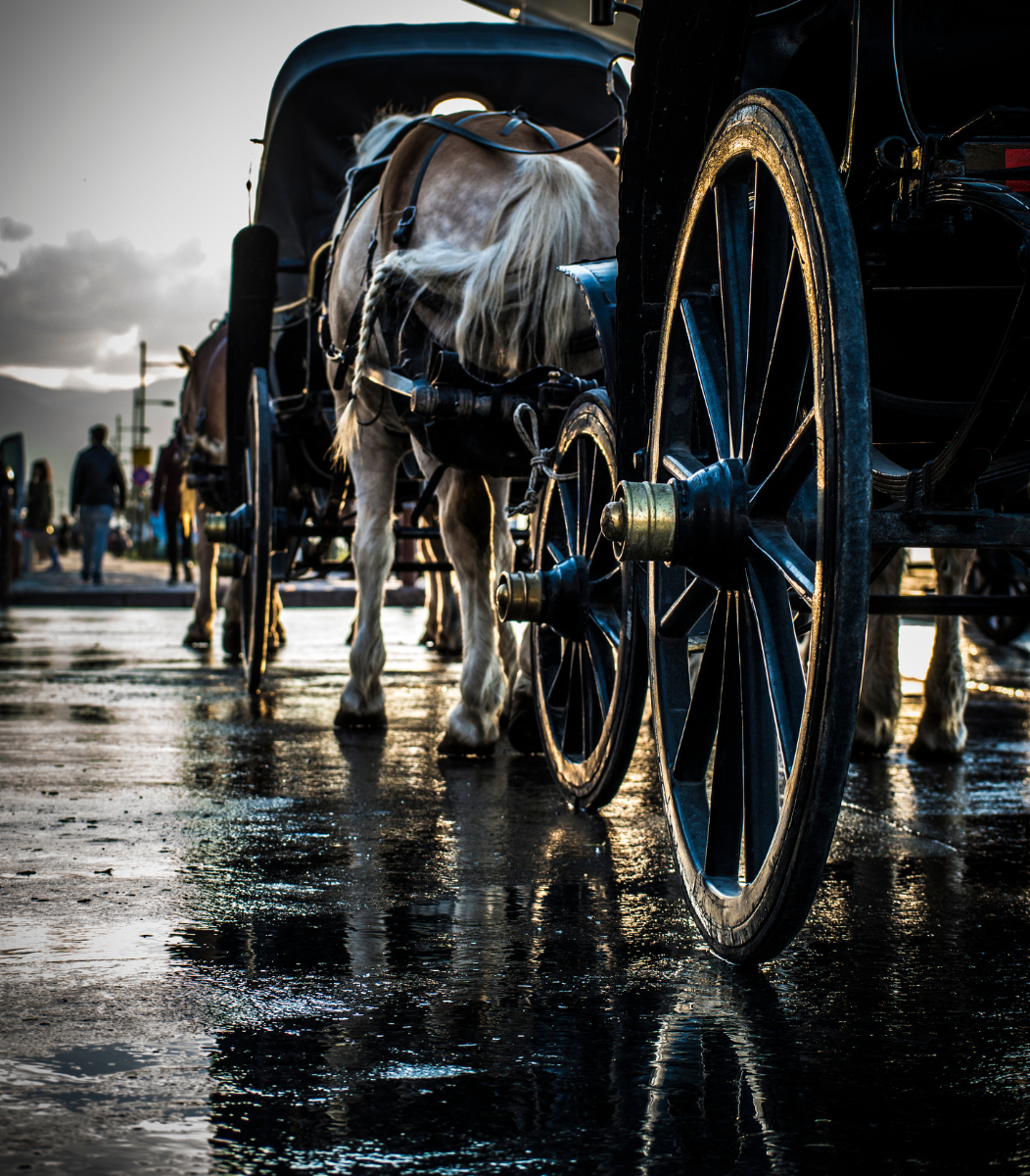 A horse pulling a classic carriage, showcasing the elegance of Cavanaugh Carriages' services