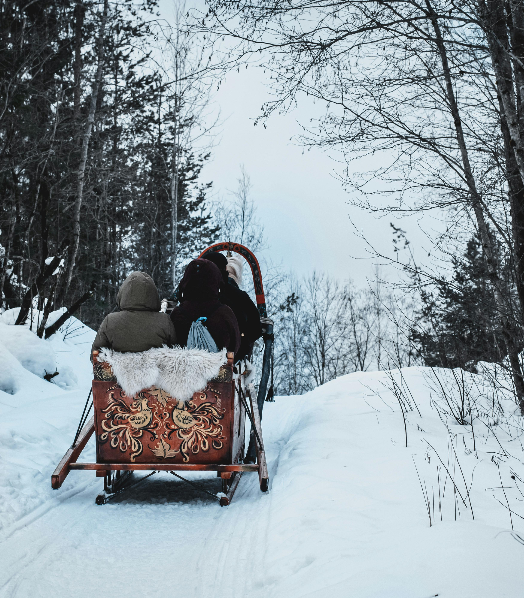 Two people enjoying a joyful sleigh ride through the snow