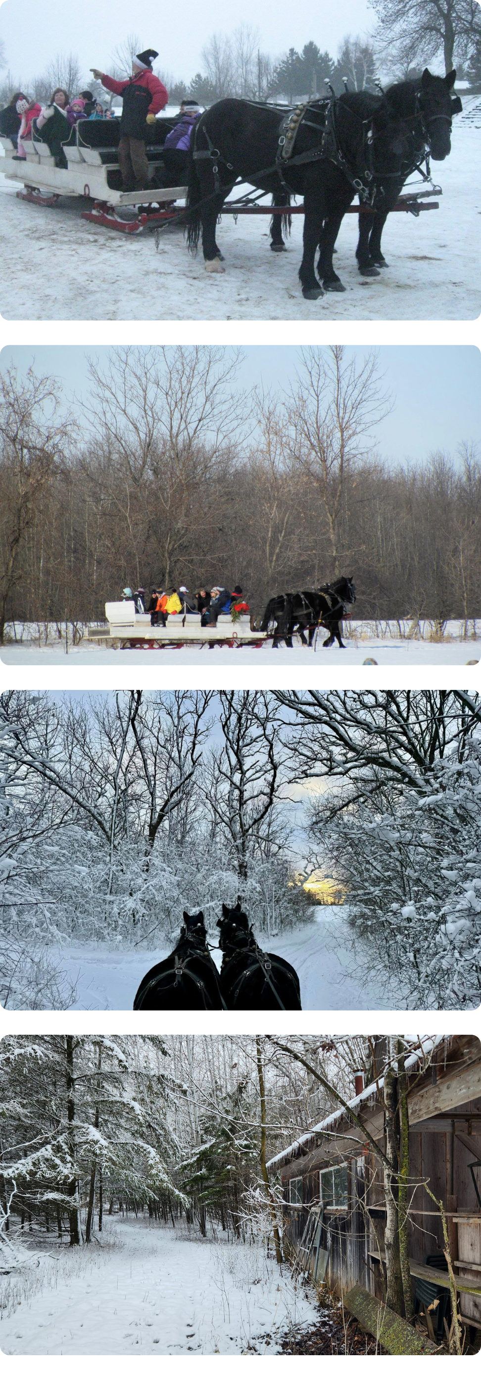 A collection of photographs capturing the charm and joy of sleigh rides by Cavanaugh Carriages in Neenah, WI.