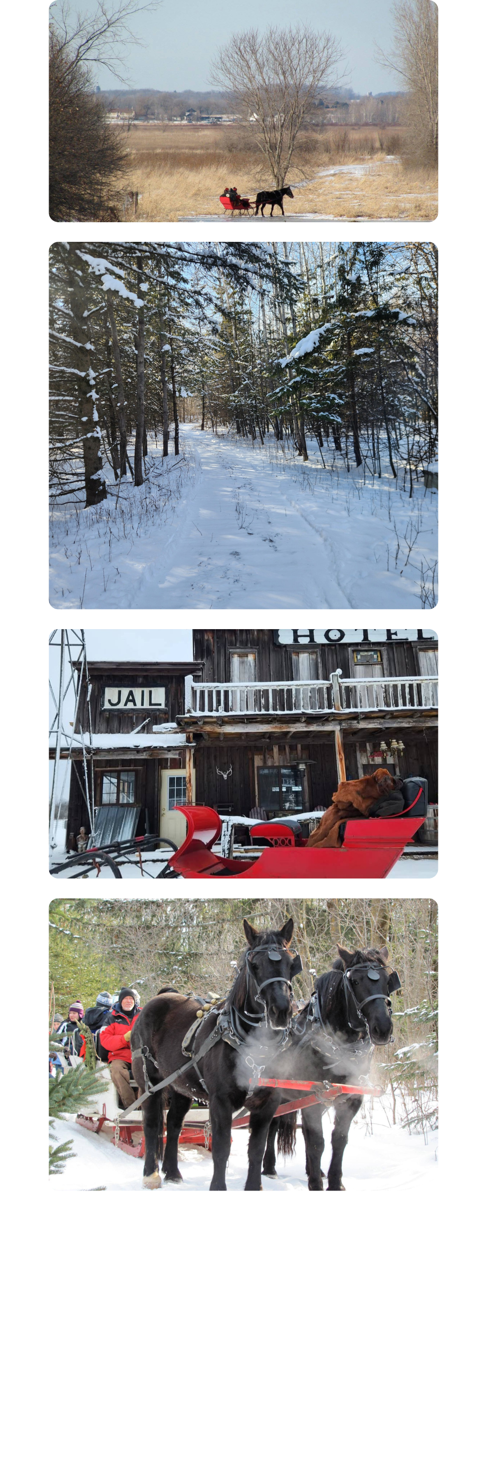 A collection of photographs capturing the charm and joy of sleigh rides by Cavanaugh Carriages in Neenah, WI.