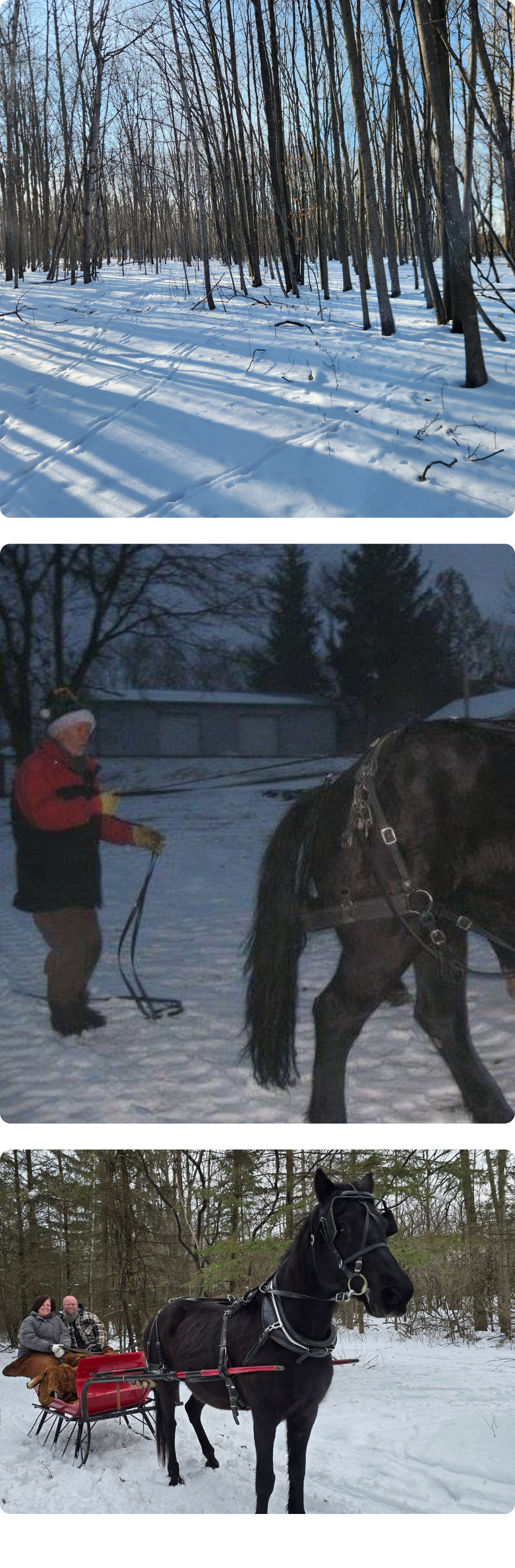 A collection of photographs capturing the charm and joy of sleigh rides by Cavanaugh Carriages in Neenah, WI.