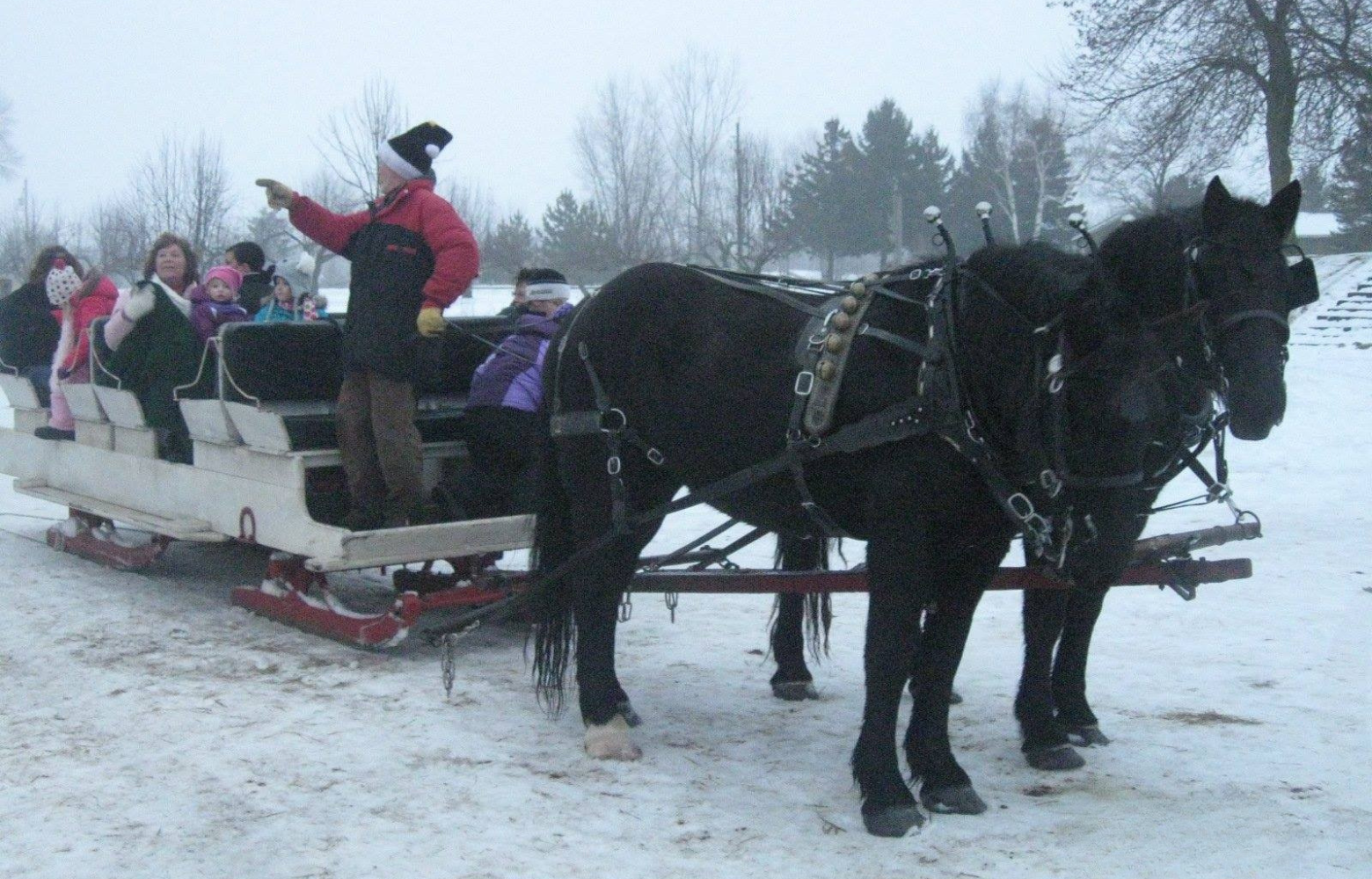 Rodger Cavanaugh stands on a sleigh with a group of people seated inside, ready to embark on a scenic sleigh ride.