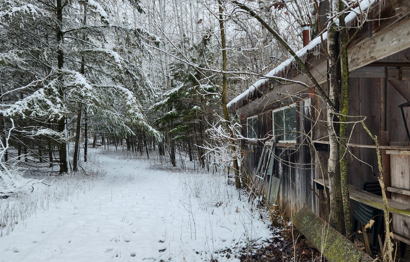 An old building, likely a sugar shack for maple syrup, nestled in the woods with a snowy landscape surrounding it. The area is part of the scenic ride through the woods.